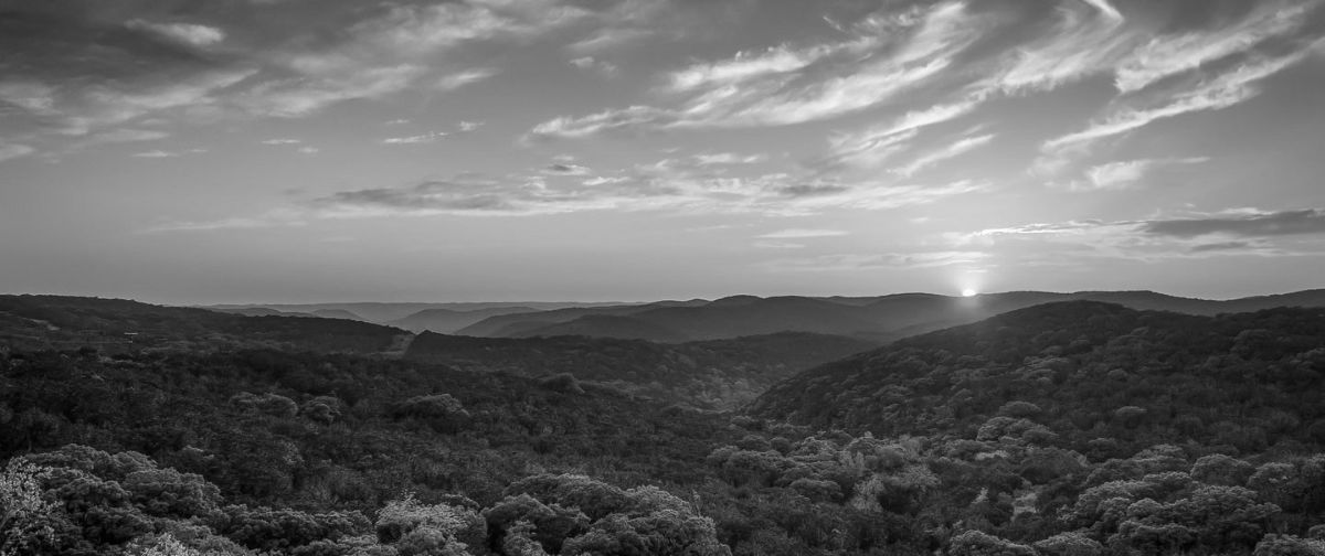 Hill Country landscape near New Braunfels